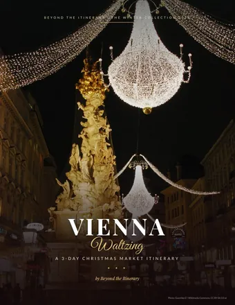 Vienna Waltzing guide cover